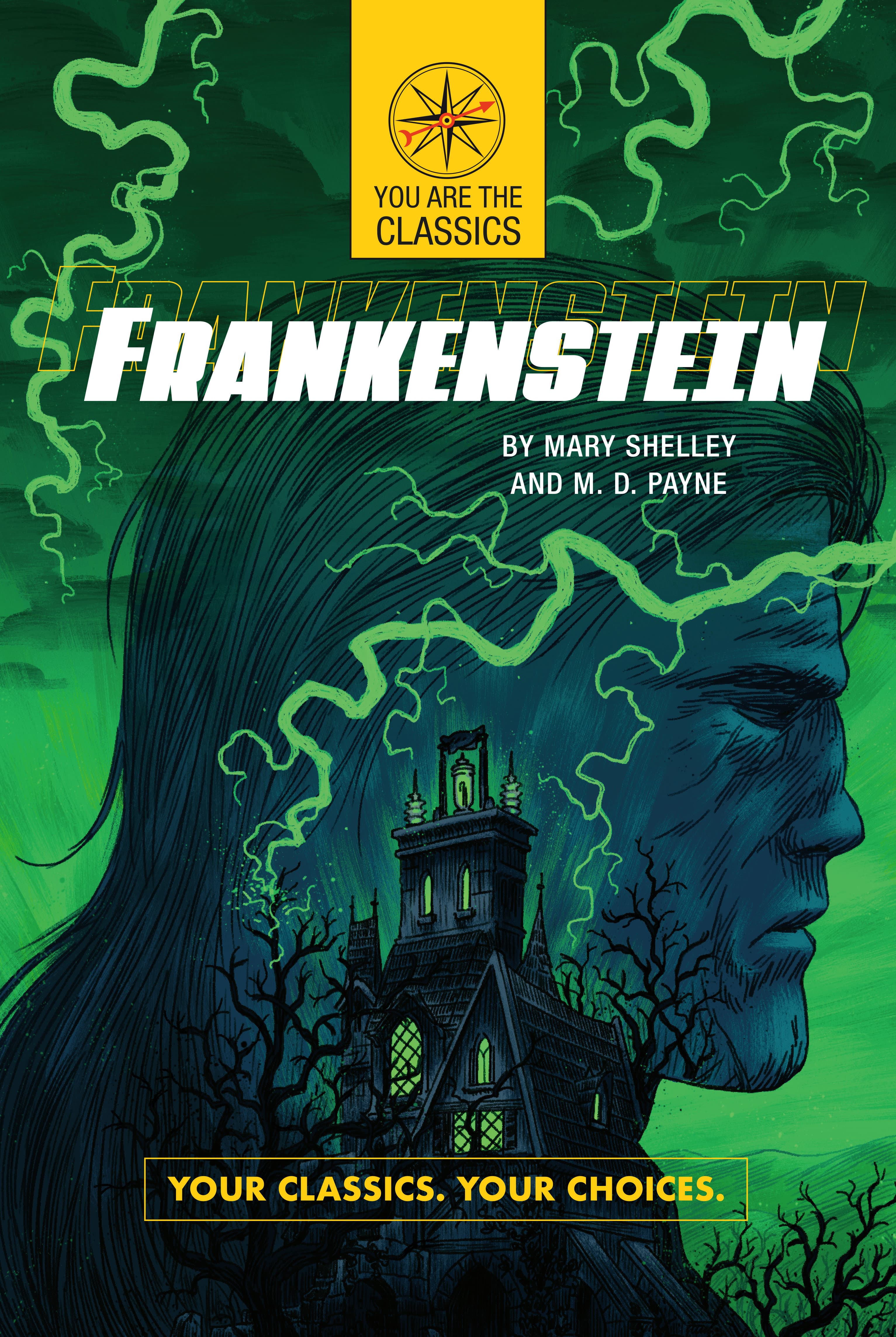 Cover of Frankenstein: Your Classics. Your Choices. by Mary Shelley and M. D. Payne